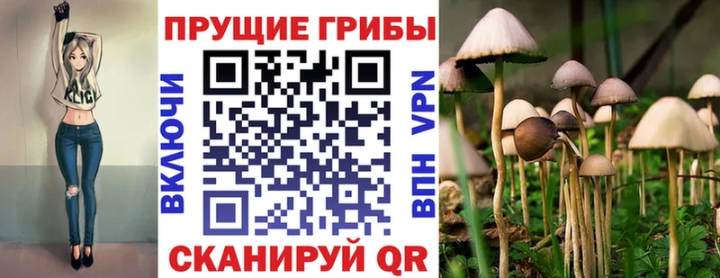 blacksprut вход Мурино Галлюциногенные грибы MAGIC MUSHROOMS хочу наркоту