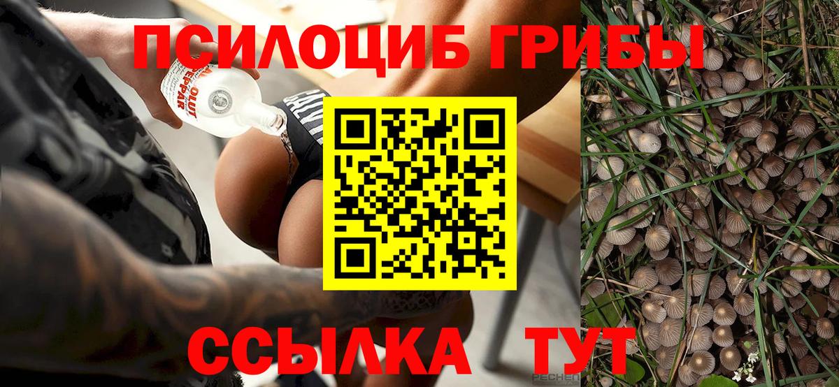 Галлюциногенные грибы MAGIC MUSHROOMS  Вход с VPN  Галлюциногенные грибы ЛСД  даркнет сайт  Мурино 
