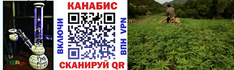 Шишки марихуана планчик  Мурино 